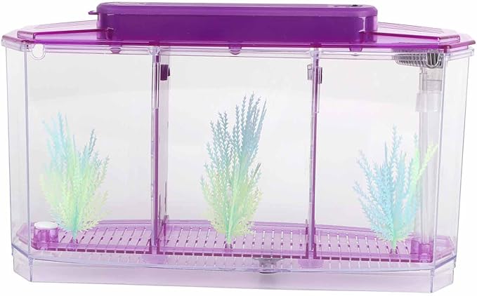 Aquarium Fish Led Light Kid Friendly Small Fish Three Divisions Breeding Isolation Mini Aquarium komplettset LED Acrylic Box Betta for Small Fishes()