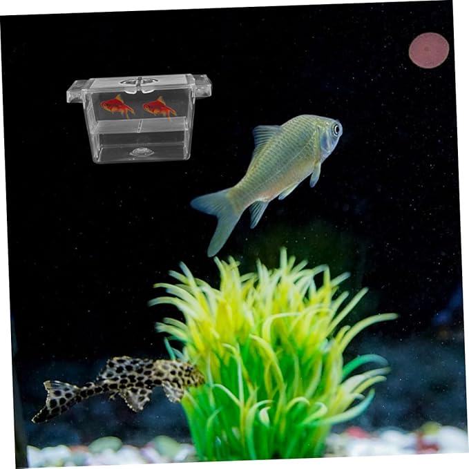 Happyyami 4pcs Floating Fish Breeding Box Plastic Separator Incubator Dual-Layer Betta Fry Hatchery Isolation Case Aquarium Fish Tank Accessory for Aquarium Breeding
