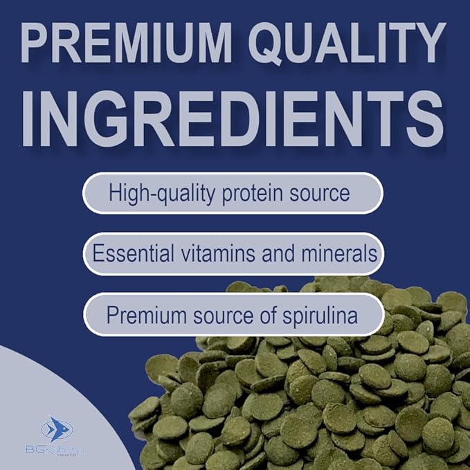 Medium 12mm Algae Wafer - Algae Wafers for Bottom Feeders - The Best Pleco Wafers & Pleco Food Available - Algae Wafers for Snails (16 oz)