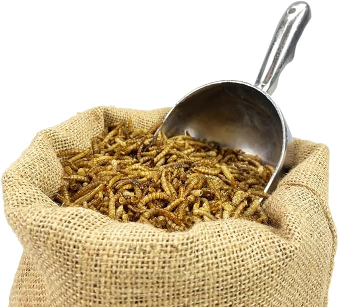 Chubby Dried Mealworms High-Protein Non-GMO Treats for Chickens, Ducks, Wild Birds & Backyard Pets