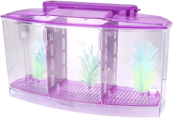 Small Fish Isolation Fish Tank, LED Acrylic Aquarium Fish Tank, Transparent Fish Isolation Box with 2 Isolation Plates for Small Fishes Betta Shrimp Guppy (Lightpurple)