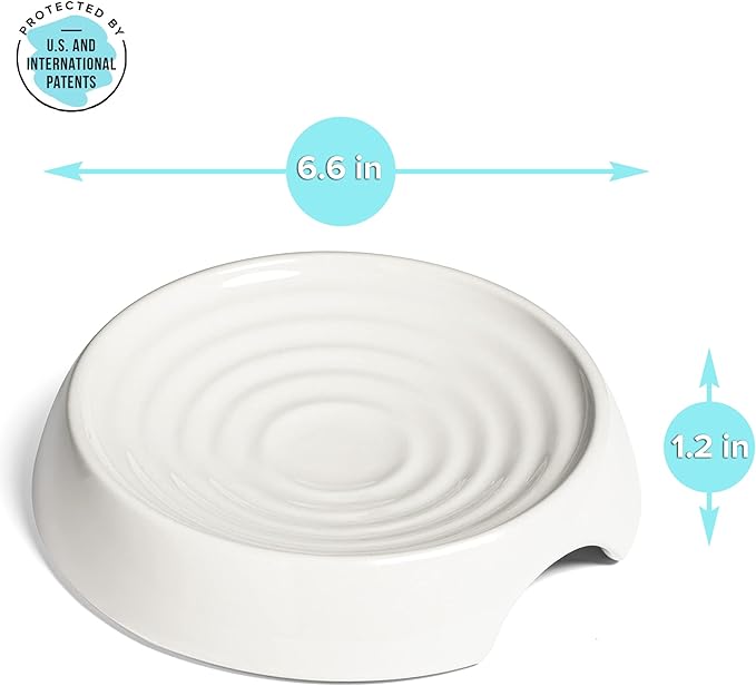 CatGuru Cat Bowls, Whisker Friendly Food Bowl for Indoor Cats, Reliefs Whisker Fatigue, Wide Kitten Dish, Non Slip Pet Dishes, Shallow Pet Plates (Ceramic, White, (Pack of 1))