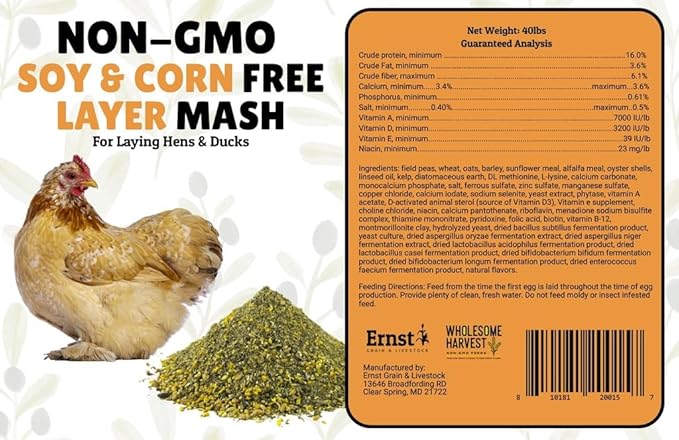 Non-GMO Soy Free-Corn Free Whole Grain Layer Mash (10 lb)