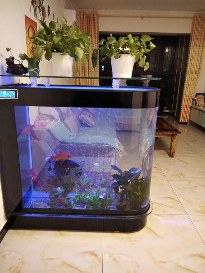 with Air Pump and Aquarium Deluxe Kit Large Ornamental Fish Tank Aquarium