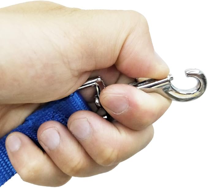 Nylon Training Dog Leash for Small Medium Large Dogs, 15ft 20ft 30ft 50ft Long Leash Dog/Puppy Lead for Obedience Recall Training, Camping (30ft, Blue)