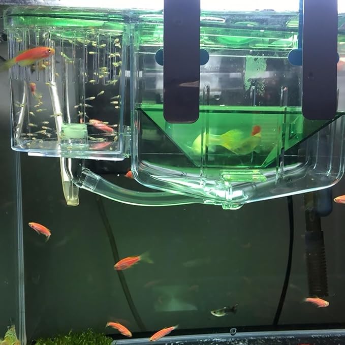 balacoo 3pcs Fish Breeding Box: Hanging Fish Isolated Box Aquarium Breeding Tank Brine Shrimp Incubator Nursery Tank Betta Box