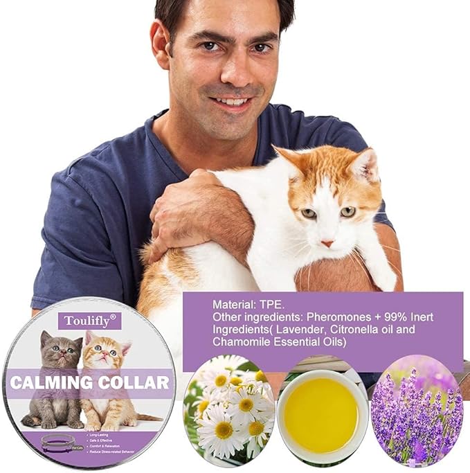 Nature's Miracle Urine Destroyer for Dogs, Light Fresh Scent, Tough on Strong Dog Urine and The Yellow Sticky Residue