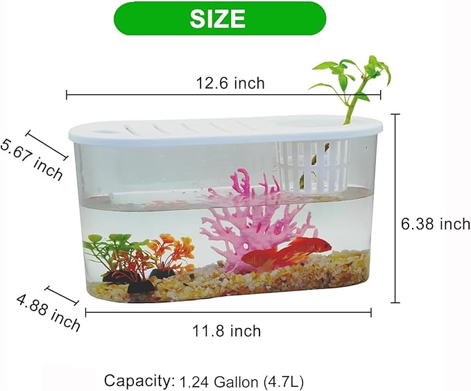 1 Gallon Betta Fish Tank Unbreakable Plastic Aquarium Oblate Fish Bowls with Plant Basket & Lid for Desktop Decoration