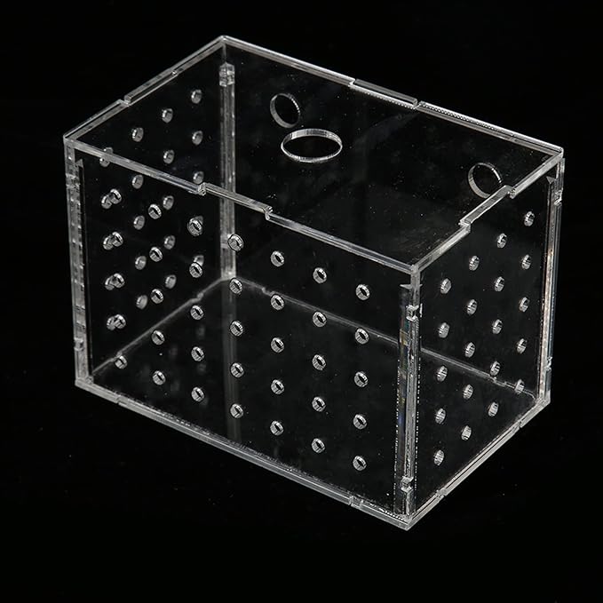 Fish Breeder Box, Aquarium Fish Breeding Box, High Transparency Acrylic Hatchery Incubator with Suction Cups for Baby Fish Shrimp Clownfish Isolation and Rearing (11 * 7 * 8CM)