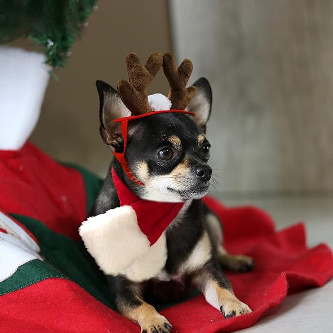 PETLESO Cat Reindeer Antlers with Christmas Scarf, Small Dog Santa Costume, Pet Xmas Outfits for Kitten, Puppy