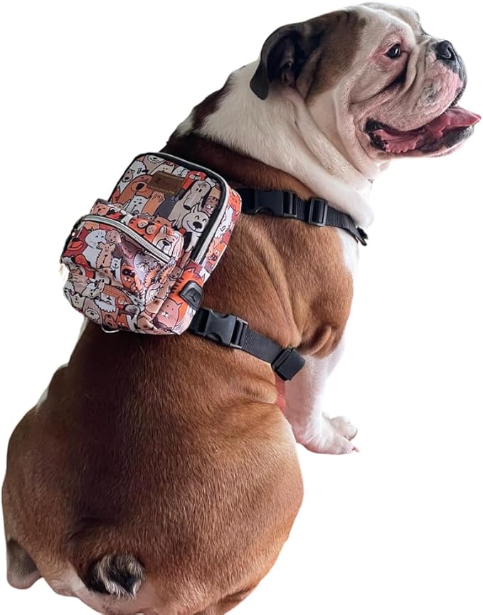 Pawlook Dog Backpack Harness – Street Smart | Waterproof, Adjustable, Breathable – Leash Attachment D-Rings, Poop Bag Pocket – Small & Medium Dogs – 8 Styles Paws Medium