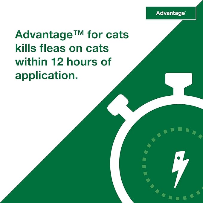 Bundle of Advantage Topical Cat Flea Treatment and Prevention for Small Cats 2-9 lbs. + Advantage Household Spot & Crevice Spray | Kills Fleas & Ticks & Bedbugs | 24 oz.