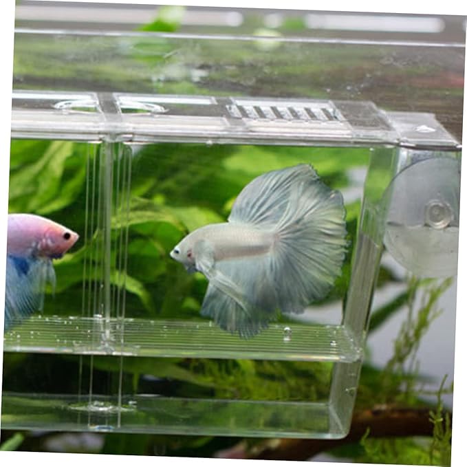 BESPORTBLE Dual-Layer Floating Fish Hatching Box Fish Breeding Container for Betta and Guppy for Fry