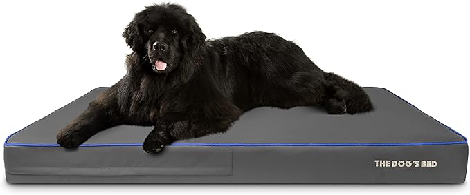 The Dog’s Bed Orthopedic Memory Foam Dog Bed Mattress, Oxford Fabric, Grey with Dark Blue Trim, XXXL, 6-Inch