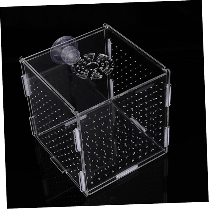Modern Fish Tank Isolation Box Acrylic Fish Breeding Tank for Betta Guppy Suction Cups and Divider