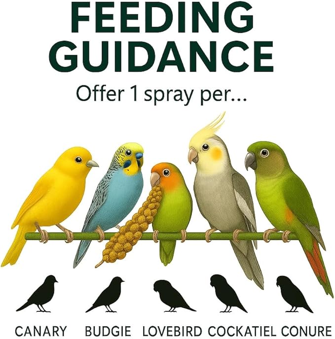 Nemeth Farms 25lbs Premium Spray Millet for Exotic Birds – Grown in The USA – 100% Natural & Non‑GMO Bird Treat – Sun‑Dried Millet for Parakeets, Conures, Cockatiels, Parrots & Budgies