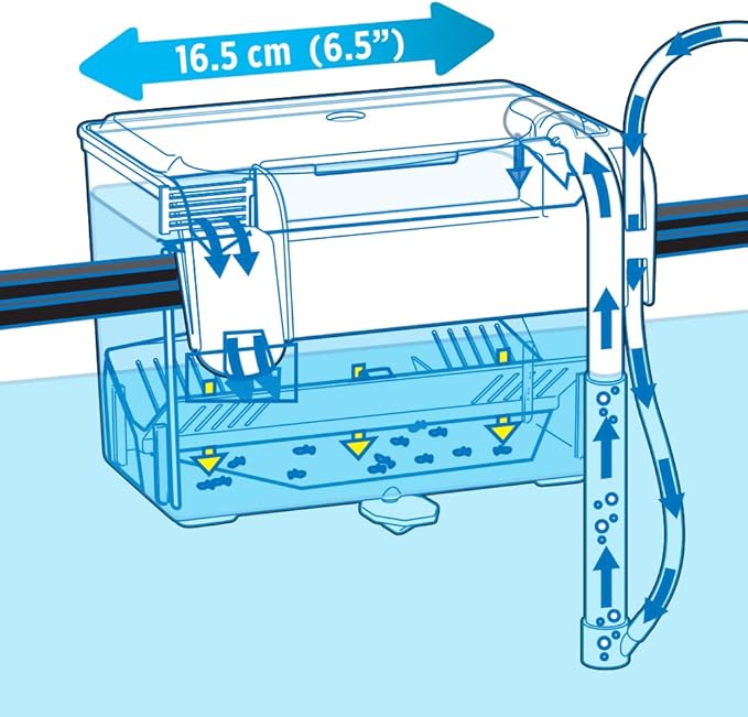 Fluval Multi-Chamber Holding and Breeding Box, Medium