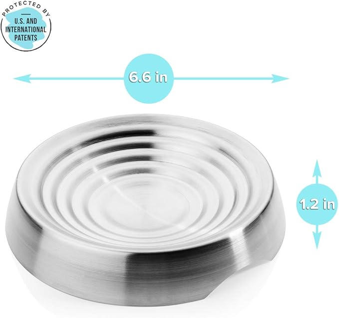 CatGuru Cat Bowls, Whisker Friendly Food Bowl for Indoor Cats, Reliefs Whisker Fatigue, Wide Kitten Dish, Non Slip Pet Dishes, Shallow Pet Plates (Stainless Steel)