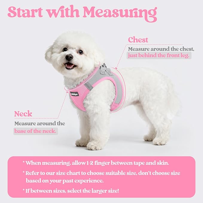rabbitgoo Dog Harness Small Sized and Leash Set, Step in Soft Light Puppy Vest, Breathable Mesh Pet Harness, Reflective for Safe Easy Walking, Pink & Gray M