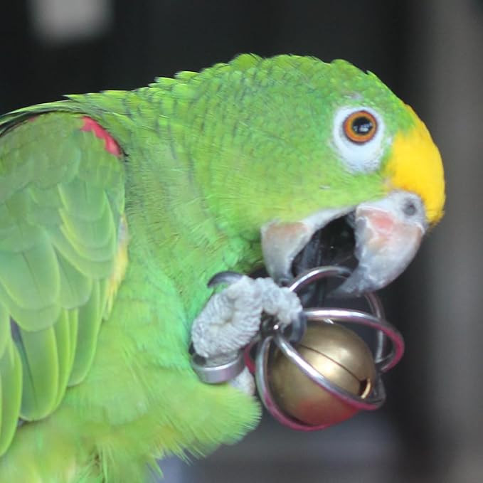 Fosrion Heavy Duty Stainless Steel Bird Toy for Large Parrots - Chew-Proof Foraging Ball with Bell for Macaws, Cockatoos, African Greys (Large)