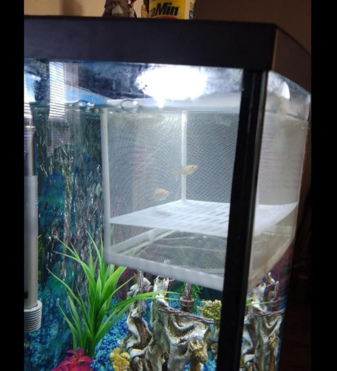 2 Pcs Aquarium Hatchery Net Fish Isolation Box,Nylon Mesh Fish Fry Hatchery Breeder Box Separation Net with Isolation Board