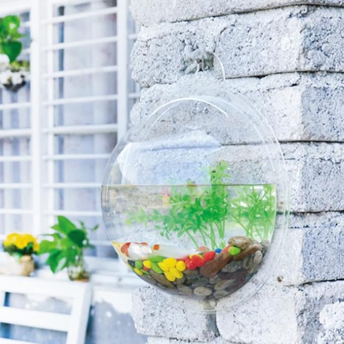 Wall Fish Tank, Betta Mini Garden Air Aquarium, Bubble Water Round Bowl Cups Semi- Farming Wall Goldfish Acrylic Decoration Hanging Transparent 3Pcs