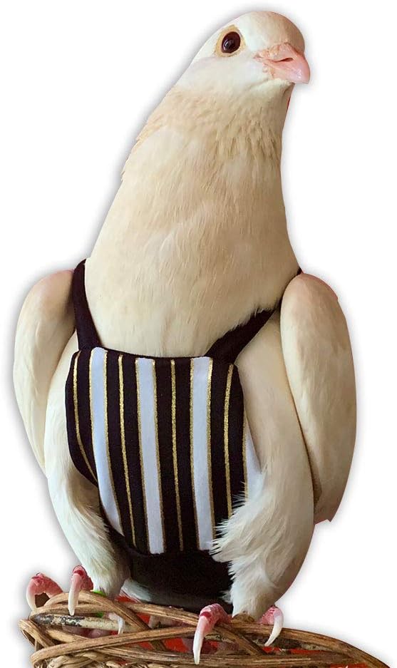 Bev's Bird Boutique Regular Flyper Adjustable Bird Diaper | Reusable, Washable Cloth | Comfort Fit for Parrot, Cockatiels, & Other Small Birds | Fashionable Avian Accessories, Regal, Size 7.5