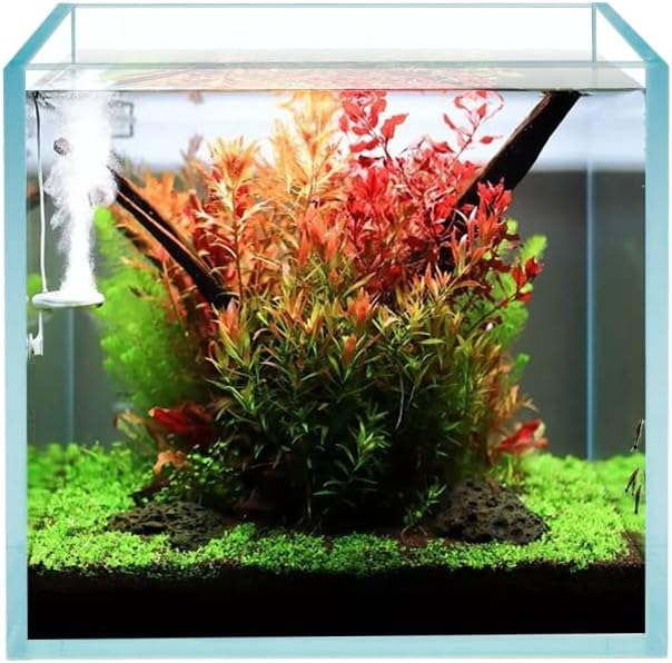 Cube Rimless Frameless Extra Clear All Glass Aquarium, 5mm Low Iron Glass, White Leveling Mat Included, w/Lids Options, Perfect for Fish & Shrimps