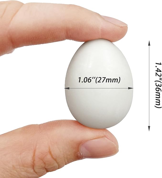 10pcs Solid Plastic Pigeon Eggs Fake Eggs for Racing Pigeons Hatching Supplies