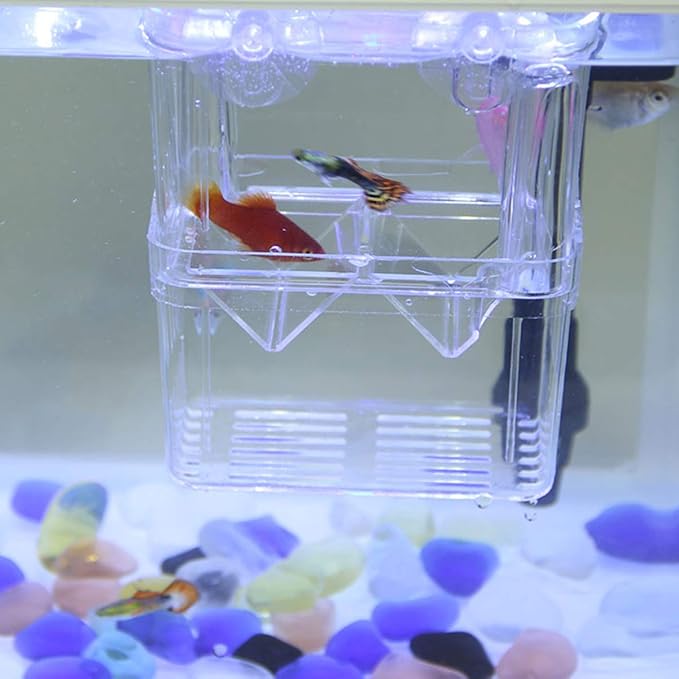 POPETPOP Aquarium Breeder Box - Floating Breeder Box for Fish Tank Durable Aquarium Breeding Hatchery Incubator Isolation Box Tank for Fish Breeder