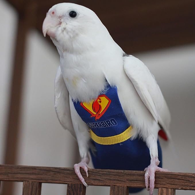 Parrot Flight Suit Diaper (Without Leash) - Reusable Bird Diaper for Budgies, Lovebirds, Cockatiels, and More - Fabric Bird Suit (Blue Superman-L)