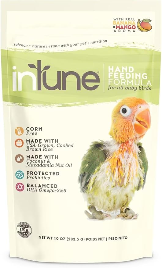 Intune Natural Hand Feeding Baby Bird Food, 10 Ounces (Pack of 2)
