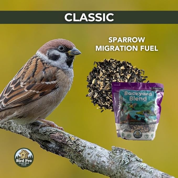 Classic Bird Seed (10 Pounds, Backyard Blend)