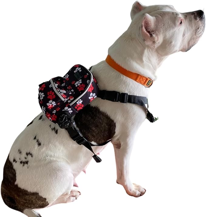 Pawlook Dog Backpack Harness – Street Smart | Waterproof, Adjustable, Breathable – Leash Attachment D-Rings, Poop Bag Pocket – Small & Medium Dogs – 8 Styles Paws Up Small