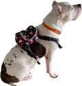 Pawlook Dog Backpack Harness – Street Smart | Waterproof, Adjustable, Breathable – Leash Attachment D-Rings, Poop Bag Pocket – Small & Medium Dogs – 8 Styles Paws Up Medium