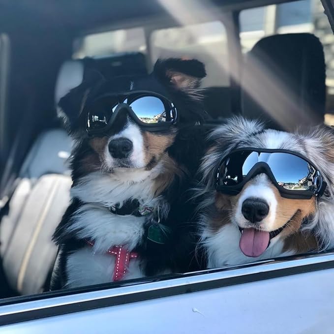 Namsan Dog Goggles Large Breed, UV-Protection Doggie Sunglasses for Medium to Large Dogs, Outdoor Dog Eye Protection, Anti-Fog Anti-Dust Windproof Snowproof, Adjustable Straps, Black