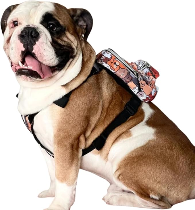 PawLook Design Dog Backpack Harness with Leash-Stylish Dogbagpack-Poop Bag Dispenser Dog Backpack-Dog Self Carrier Backpack-Dog Bag Vest with D-Ring-Backpack for Dogs to Wear-1 Piece (Paws, S)