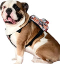 PawLook Design Dog Backpack Harness with Leash-Stylish Dogbagpack-Poop Bag Dispenser Dog Backpack-Dog Self Carrier Backpack-Dog Bag Vest with D-Ring-Backpack for Dogs to Wear-1 Piece (Paws, S)