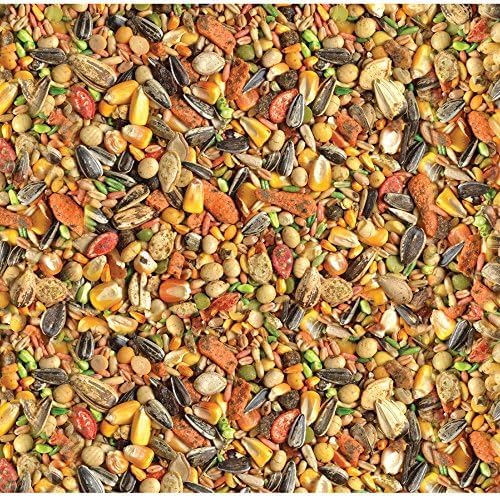 Wild Harvest Advanced Nutrition Parrot 8 Pounds, Seed, Grain And Vegetable Mix