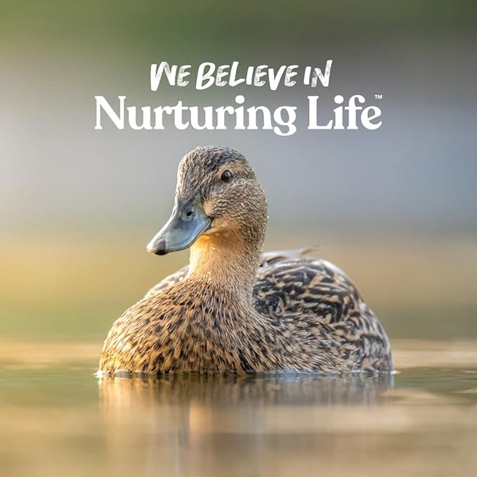 Manna Pro Duck Discs, Floating Duck Treats with 10% Protein, Made with Black Soldier Fly Larvae, Kelp & Alfalfa, Treats for Ducks & Waterfowl, 16 oz