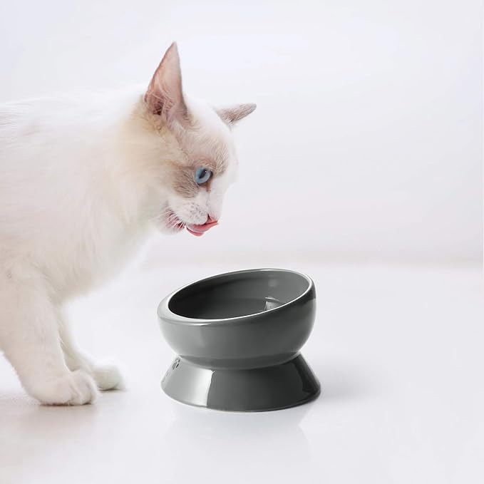 Y YHY Elevated Cat Food Bowl, Raised Pet Food and Water Bowl, Ceramic, 15oz