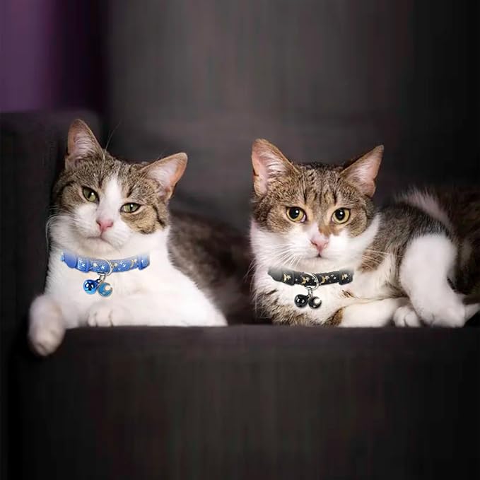 SuperBuddy Cat Collars Breakaway with Bell - 4 Pack Cat Safety Collars for Boys & Girls - Safety Buckle Kitten Collar for Pet Supplies,Stuff,Accessories