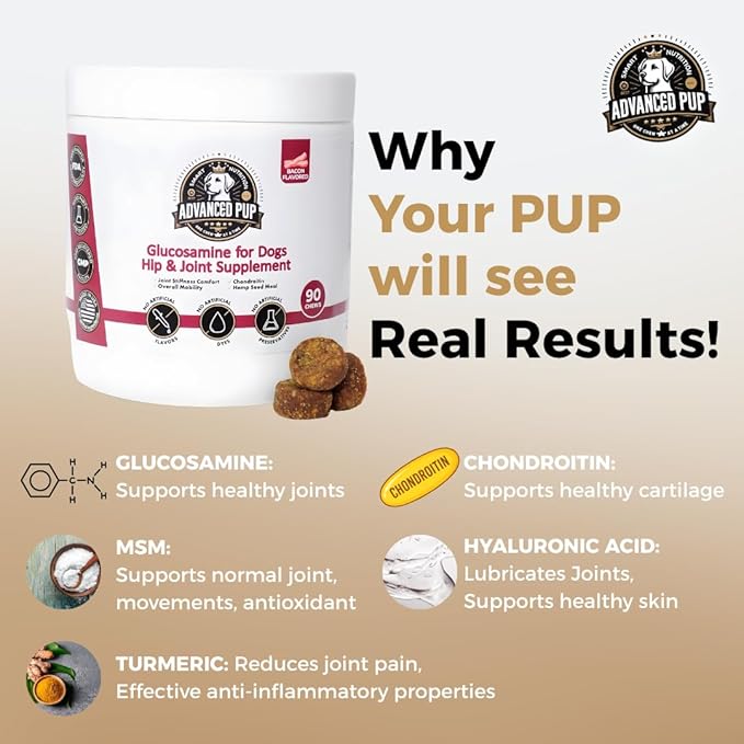 Hip and Joint Supplement - Natural Glucosamine Chondroitin MSM & Turmeric for Dogs - Dog Hip & Joint Care to Heal Dog Joint Stiffness & Inflammation - Tasty Bacon 90CT