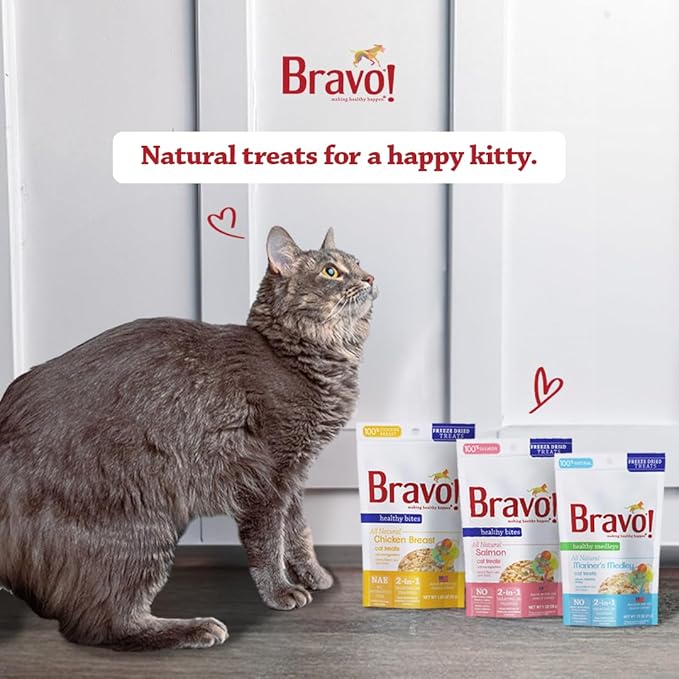 Bravo! Healthy Bites Single Ingredient Freeze Dried Raw Cat Treats, Salmon, 1 Ounce, High Protein, Grain Free, Gluten Free