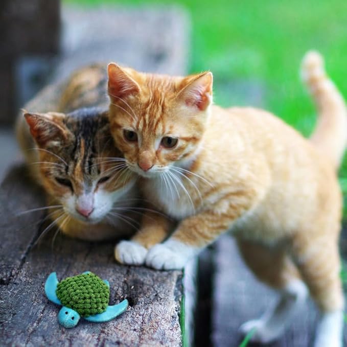 KONG Refillables Catnip Toys, Assorted 2-Pack – Plush Cat Toys with Refillable Catnip Pouch & Premium North American Catnip (Turtle 2 Pack)