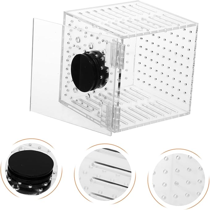 Garneck 1pc Magnetic Fish Isolation Box for Safe Breeding and Separation of Fish Aquariums Easy to Install Hatching Holder Ultra-fine Mesh for Enhanced Survival Rate