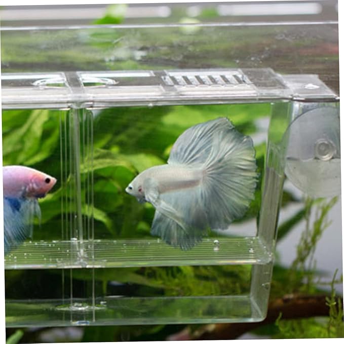 balacoo Portable Fish Tank Fish Breeding Box for Aquarium Floating Breeding Box Suction Cup Incubation Container Breeder