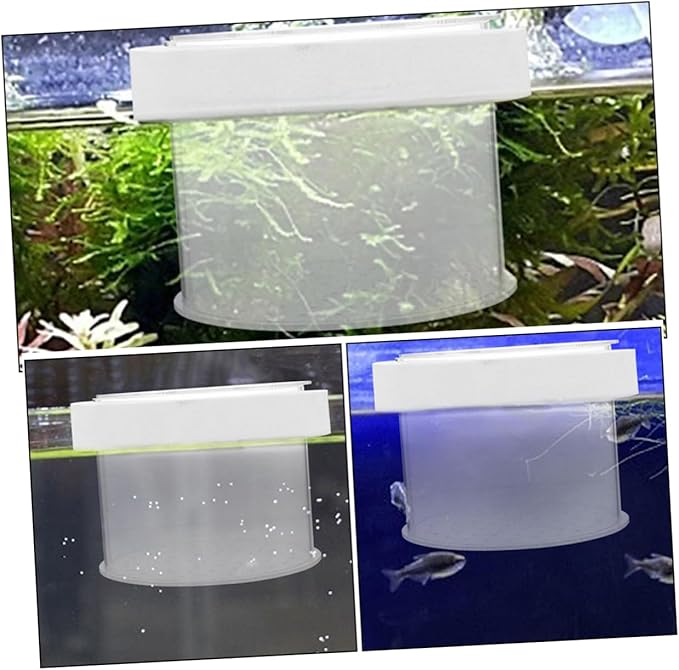 BESPORTBLE Fish Breeding Box Acrylic Isolation Tank for Aquariums Floating Fish Box Transparent Cover Increases Survival Rate and Hatching