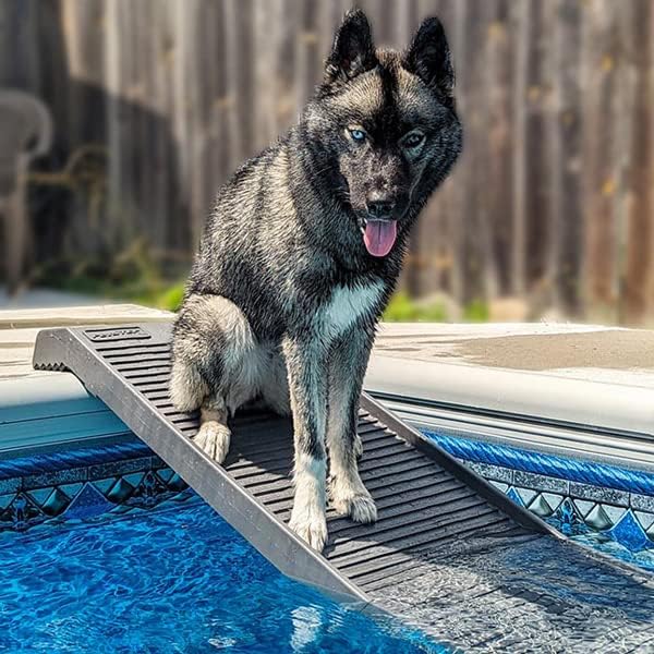 PetStep Dog Ramp for Pools - (Standard Legs, Khaki/Beige)- Small and Large Dog Pool Ramp for Above-Ground and In-Ground Pools