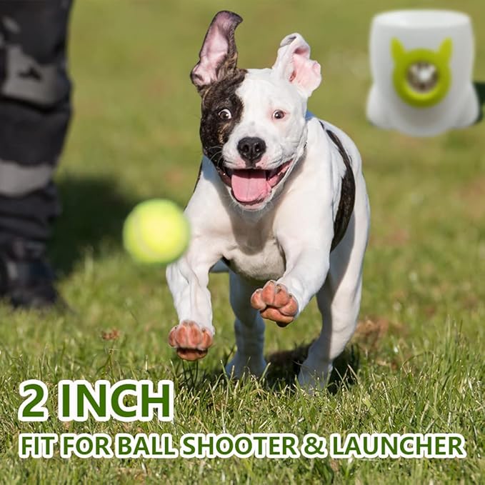 BESTHLS Pet Ball for Dog Small 2inch Pet Toy Tennis Balls for Pet Puppy Tiny Small Dogs Fetching Exercise & Training (16 Pack)